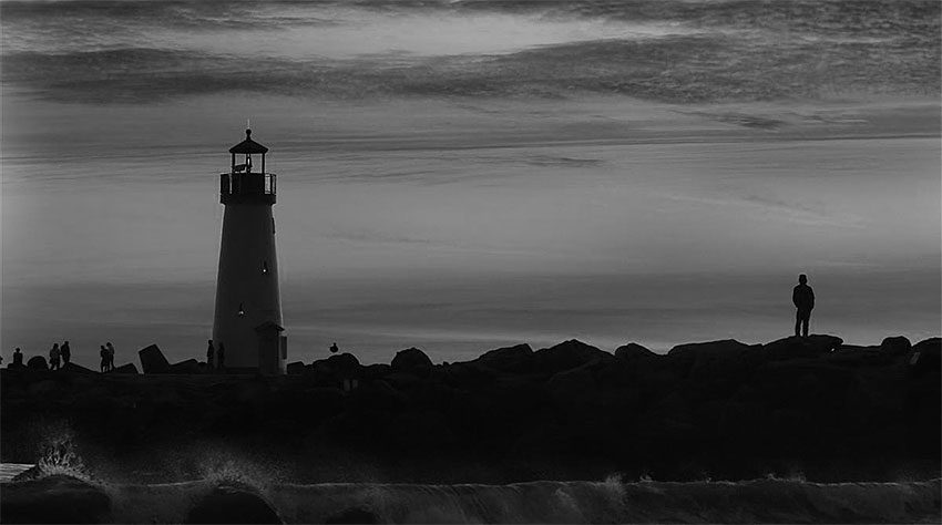 Professional Photography